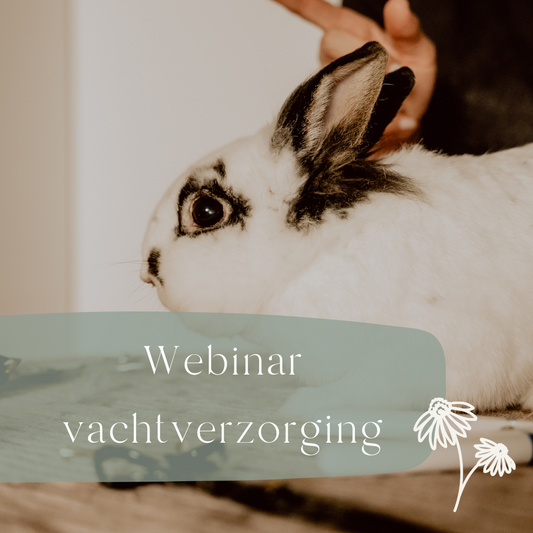 Webinar Vachtverzorging 25/03/2025